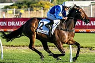 Alligator Blood Horse