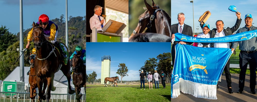 Outstanding Tasmanian Yearling Sale Catalogue Online