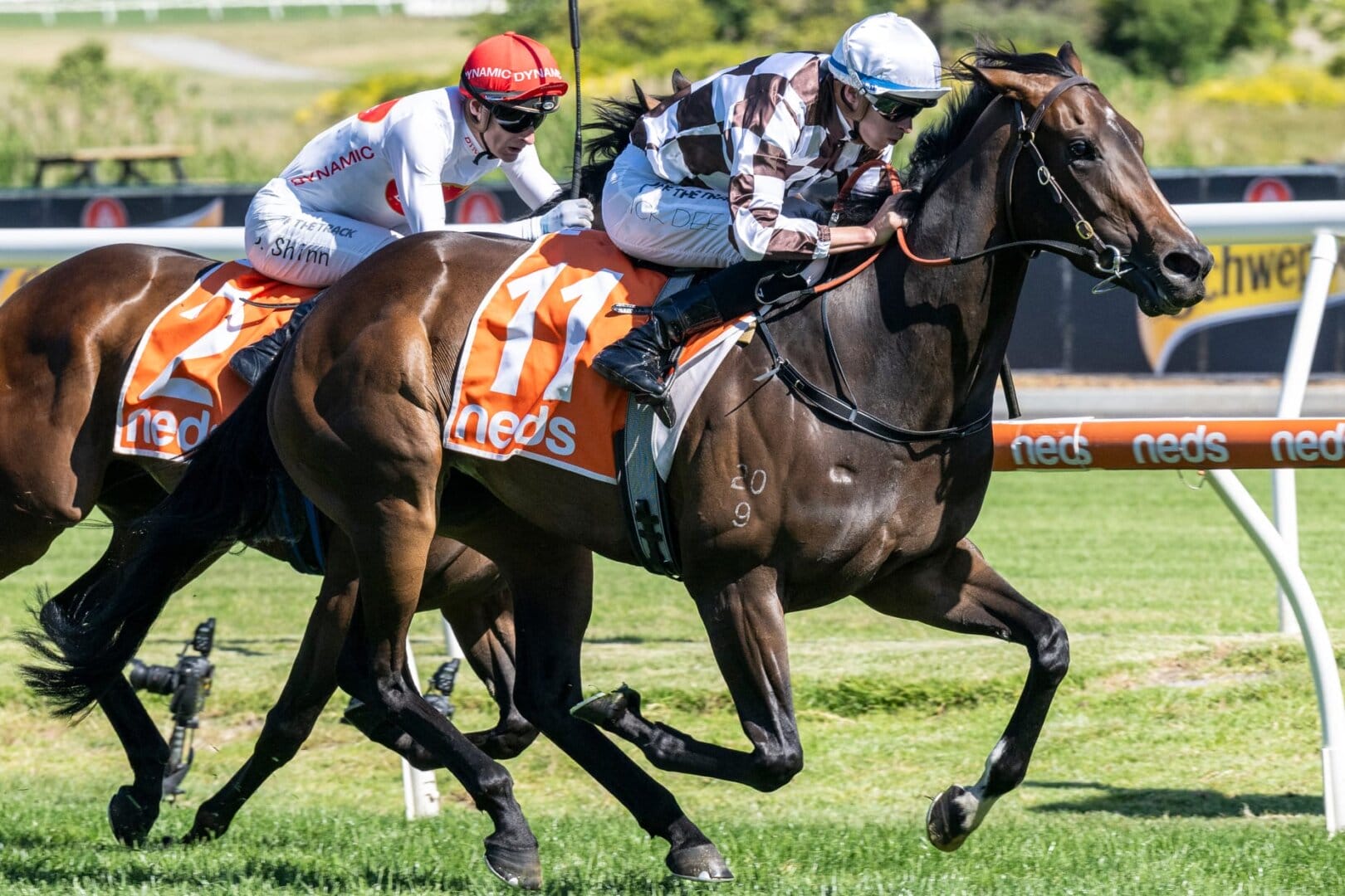 Melbourne Cup Day - Members Reserve, Gold Coast Turf Club, Bundall,  November 7 2023