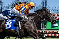 Imperatriz Horse