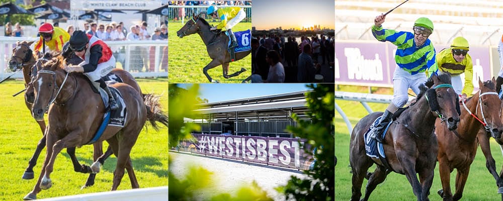 West is Best – Cracking Perth Yearling Catalogue Unveiled