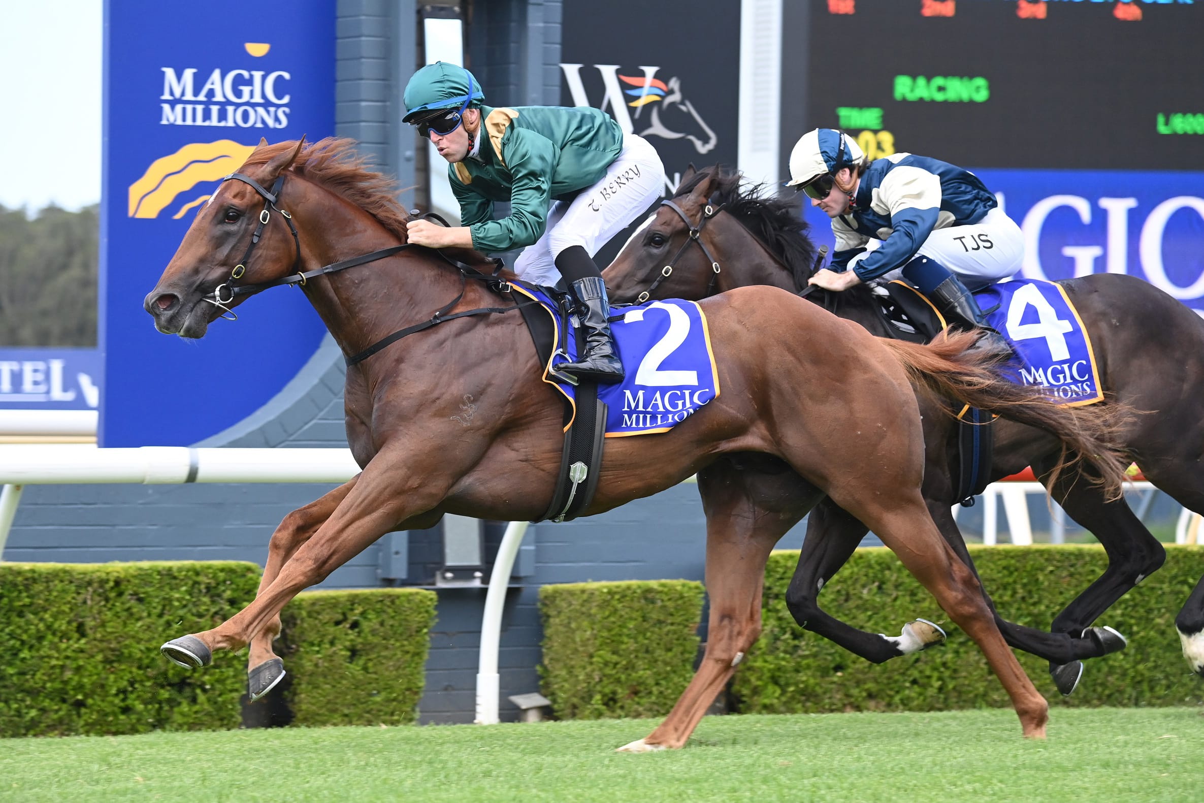 Highness Storms Home in Wyong Millions Thriller