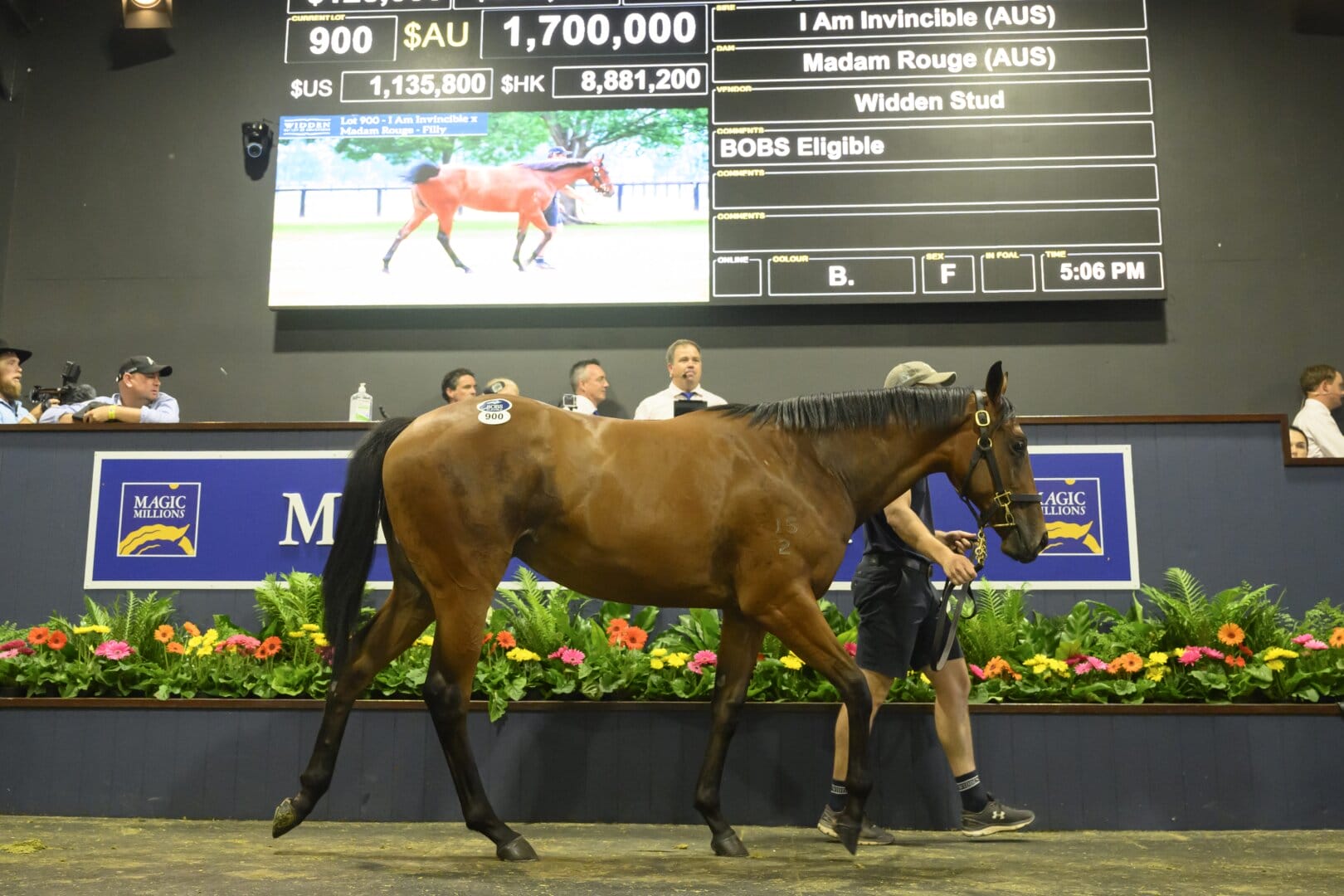 Madam Rouge’s First Foal Stars at Magic Millions