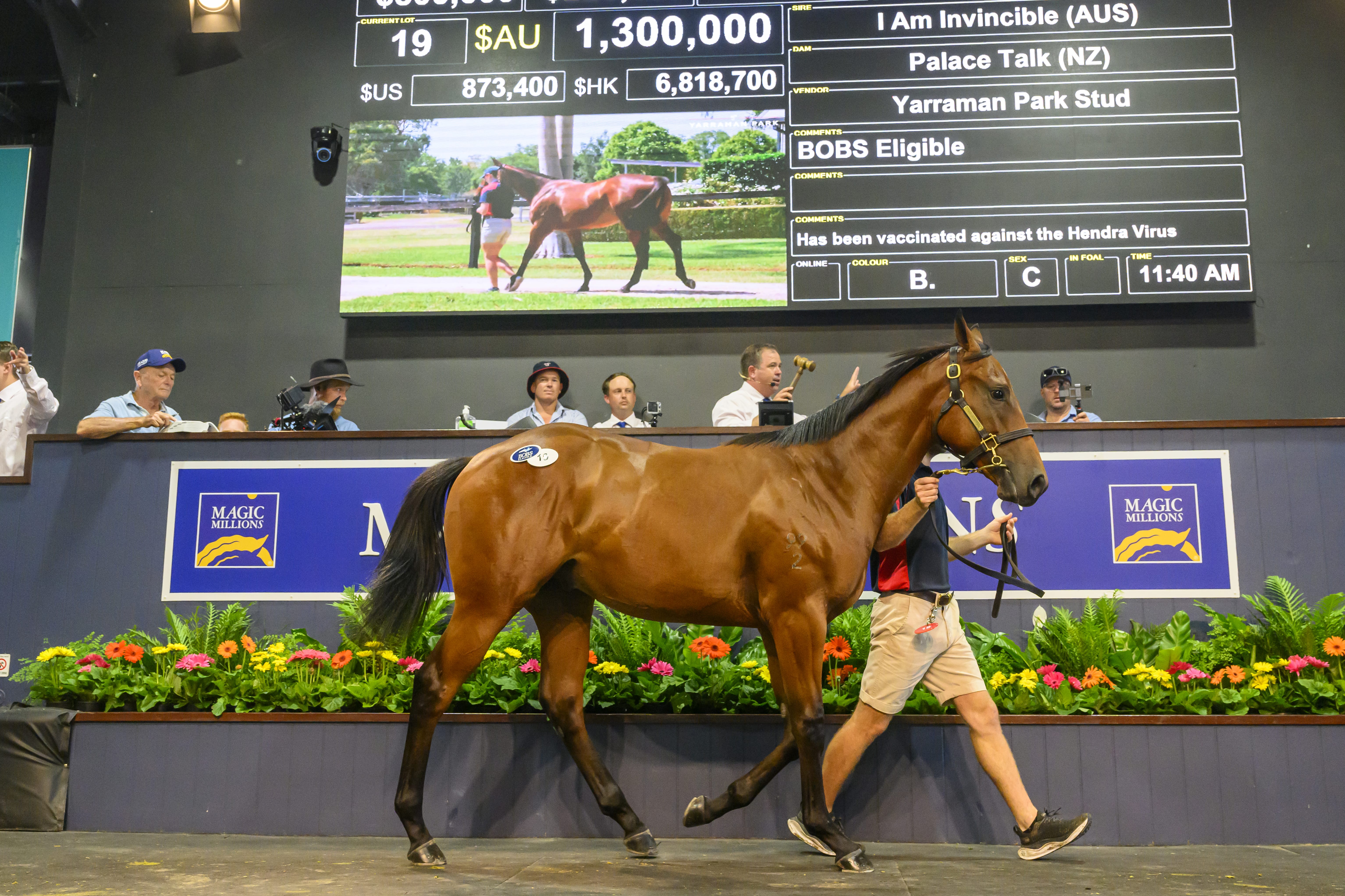 Palace Talk Colt on Top on Day One at Gold Coast