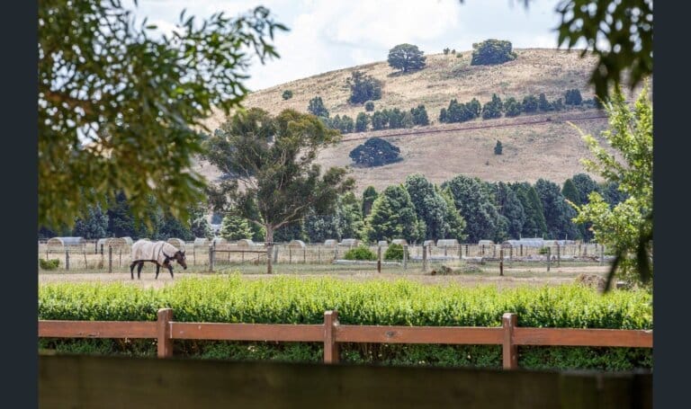 Ballarat Training Facility, photo 3