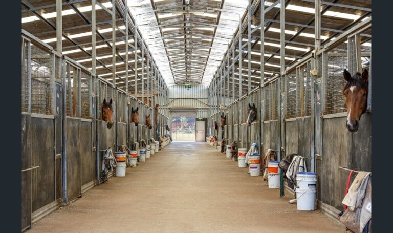 Ballarat Training Facility, photo 4