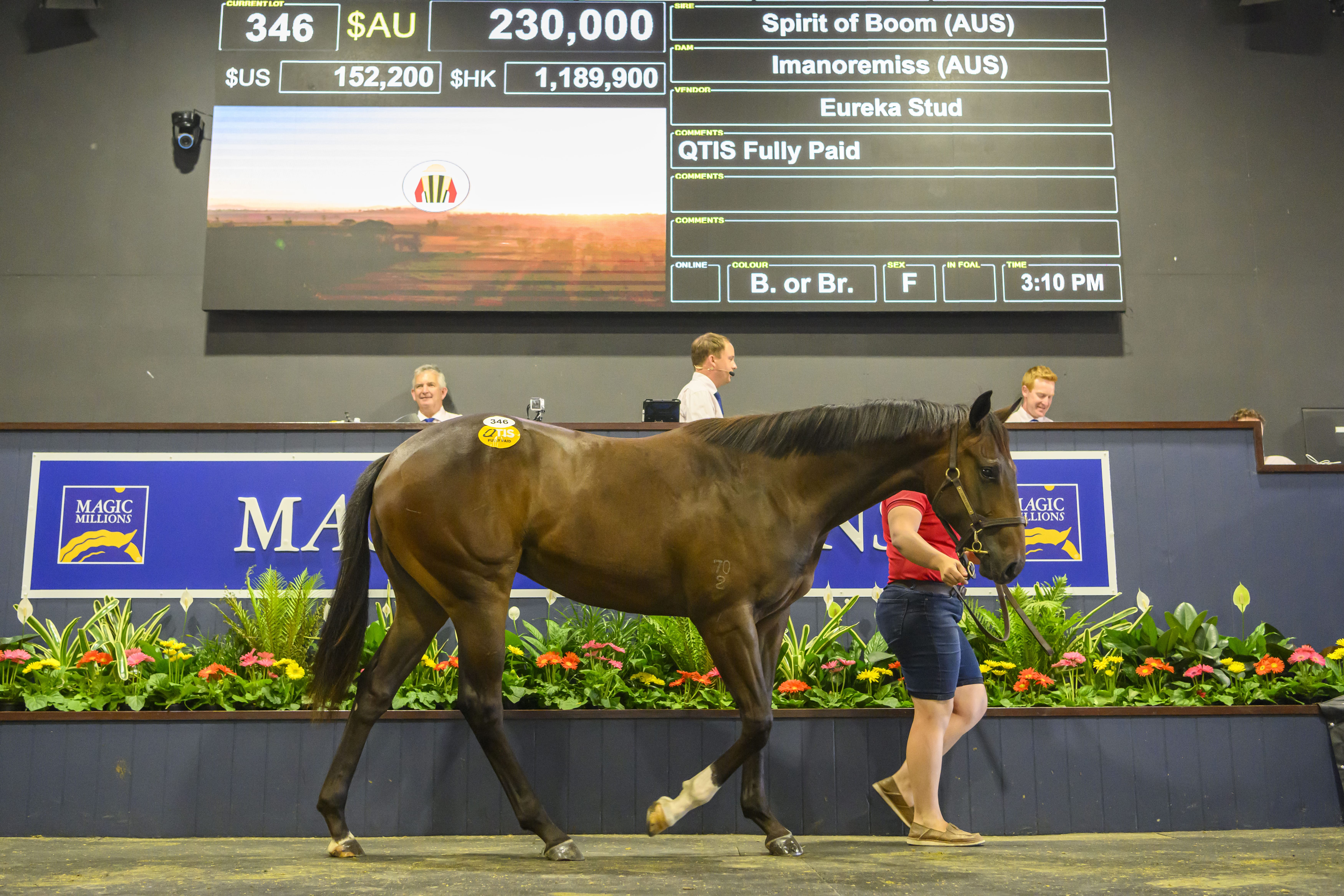 Chinny Boom’s Sister Tops Gold Coast March Yearling Sale