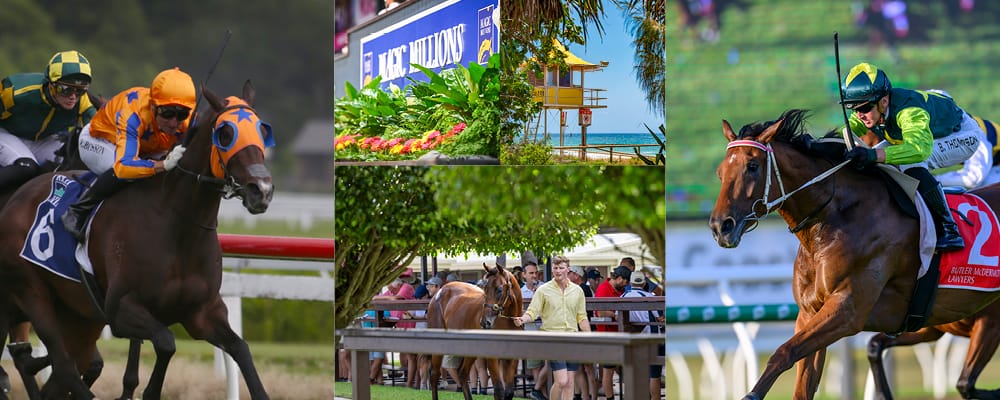 Sire Power at Gold Coast National Yearling Sale