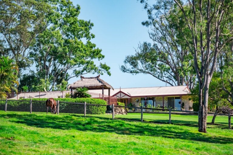 Biddaddaba Estate, photo 2