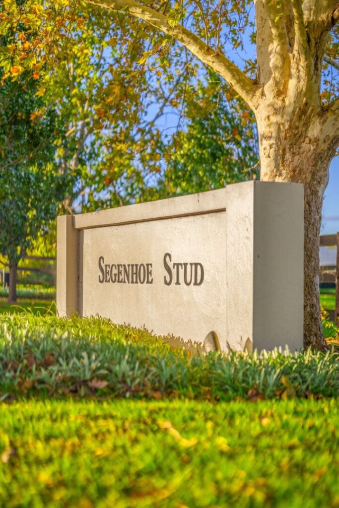Segenhoe Stud, photo 1