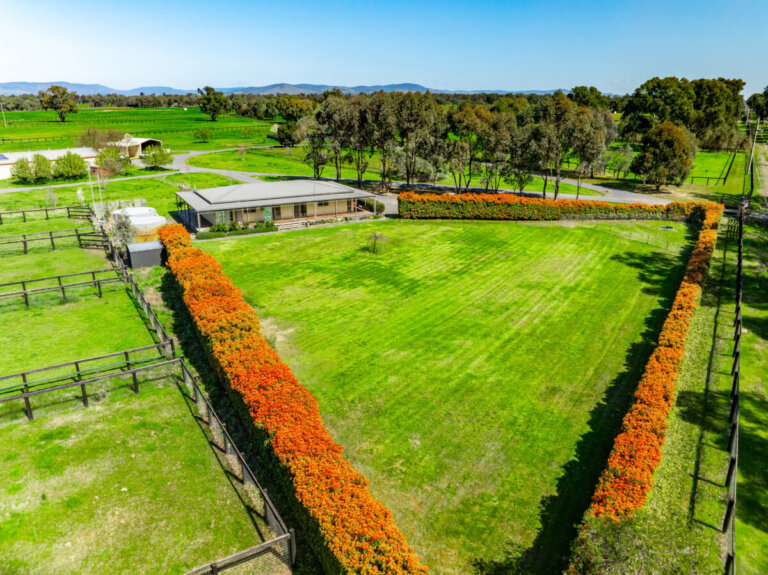 561 Baddaginnie Road, photo 5