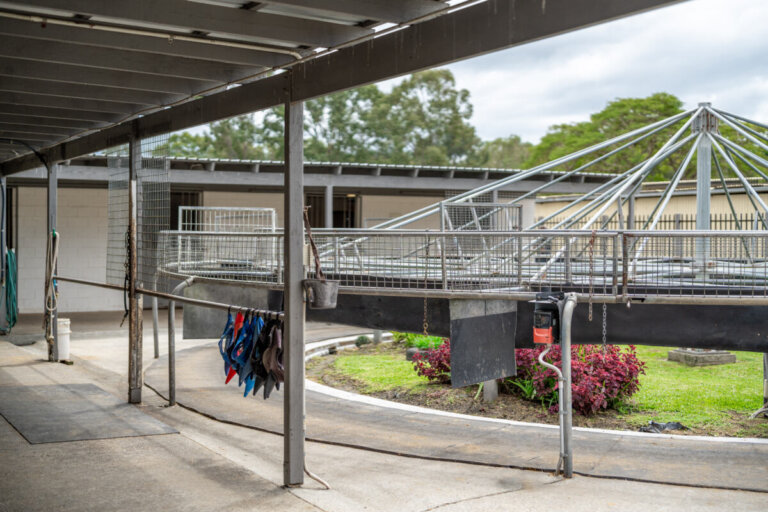 4/86 Racecourse Drive, photo 4