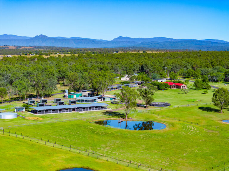 Mikian Farm, photo 3