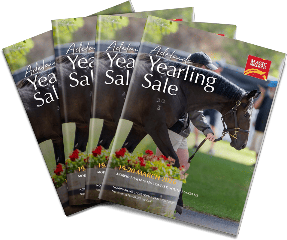 download-1500x1255 (17)