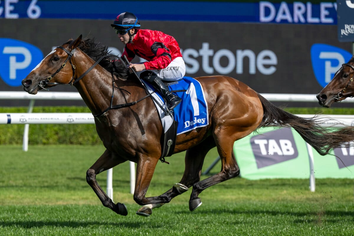 Superstar Filly Apocalyptic Takes Flight in Sydney