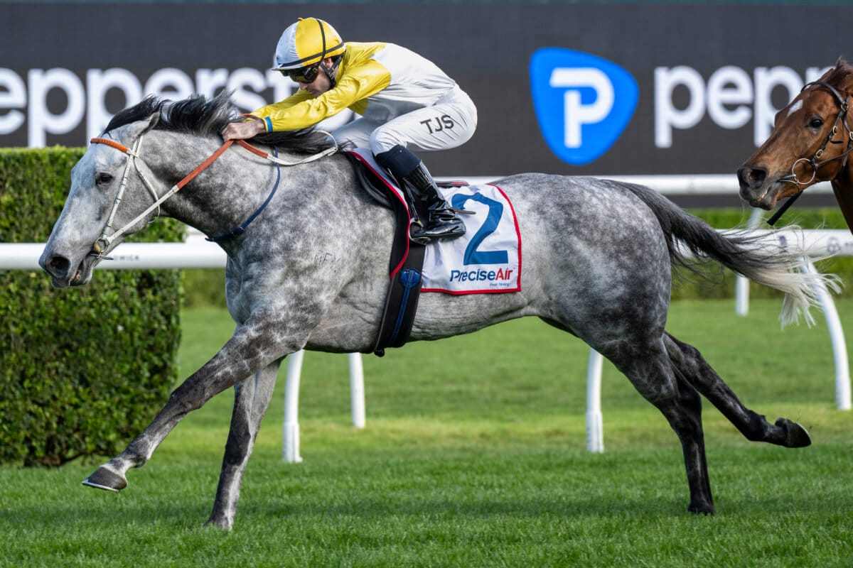 Briasa Boost as More Youngsters Impress on HIT Sale Eve Briasa Boost as More Youngsters Impress on HIT Sale Eve