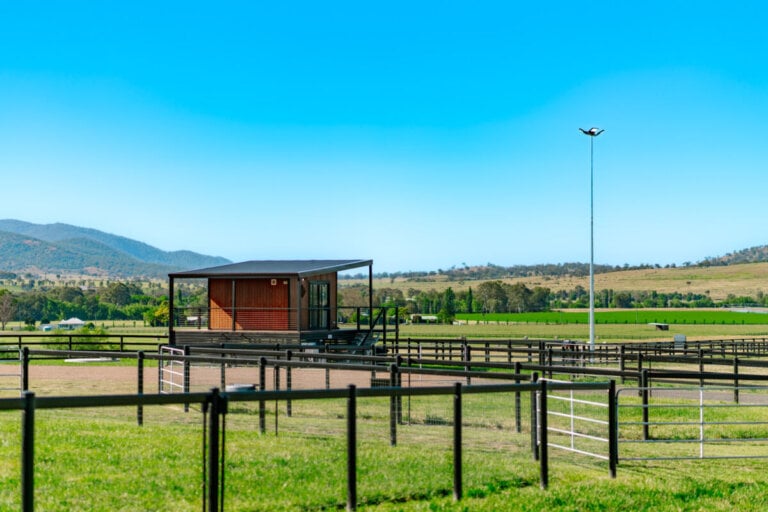 Moss Vale, photo 3