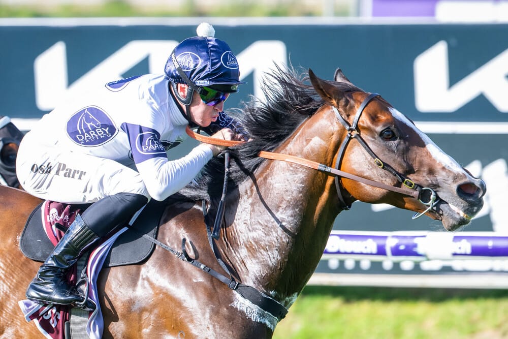 Shares in Group One Stars Highlight MM Digital Sale Shares in Group One Stars Highlight MM Digital Sale