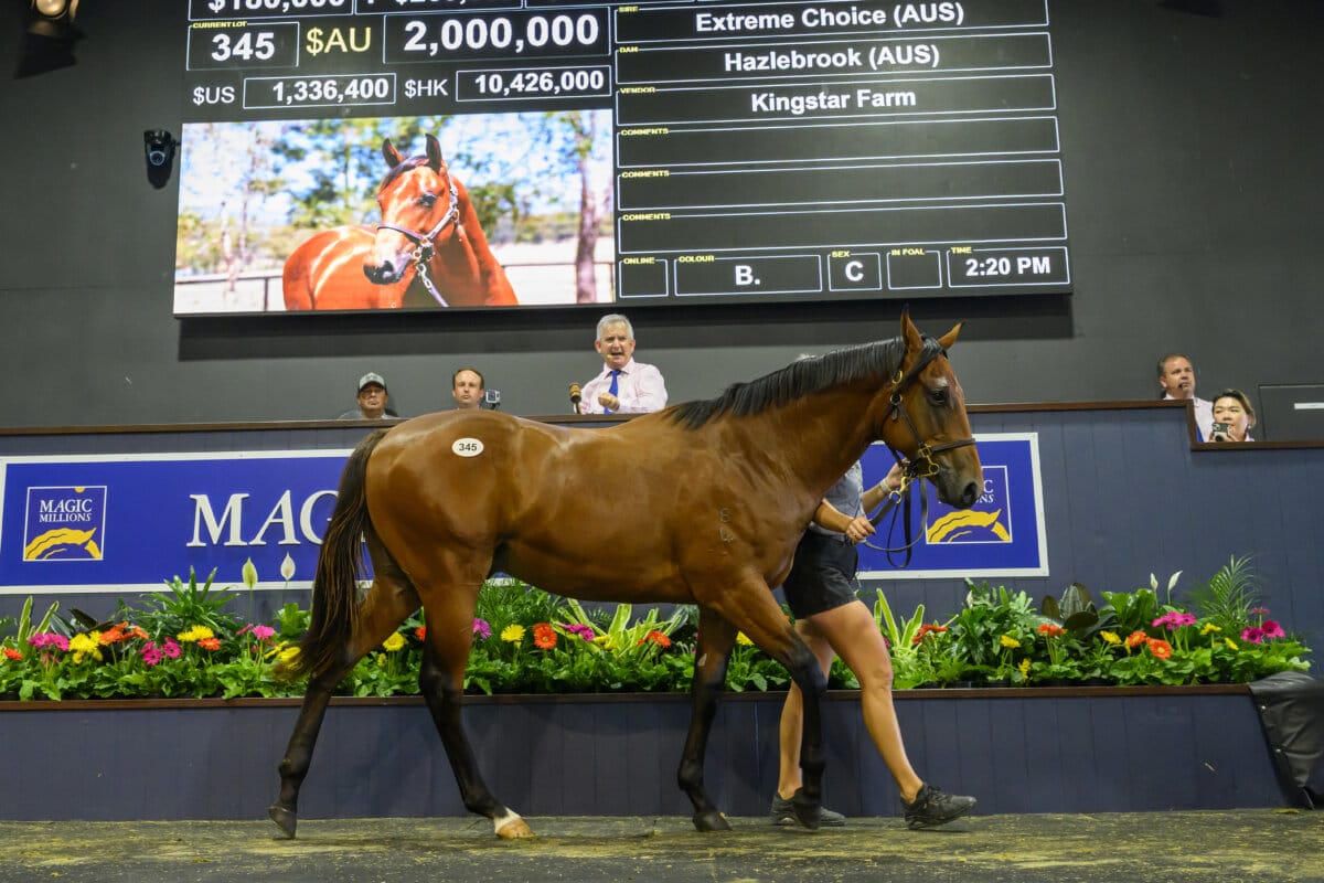 Extreme Colt Shares Top Billing After Day Two Extreme Colt Shares Top Billing After Day Two