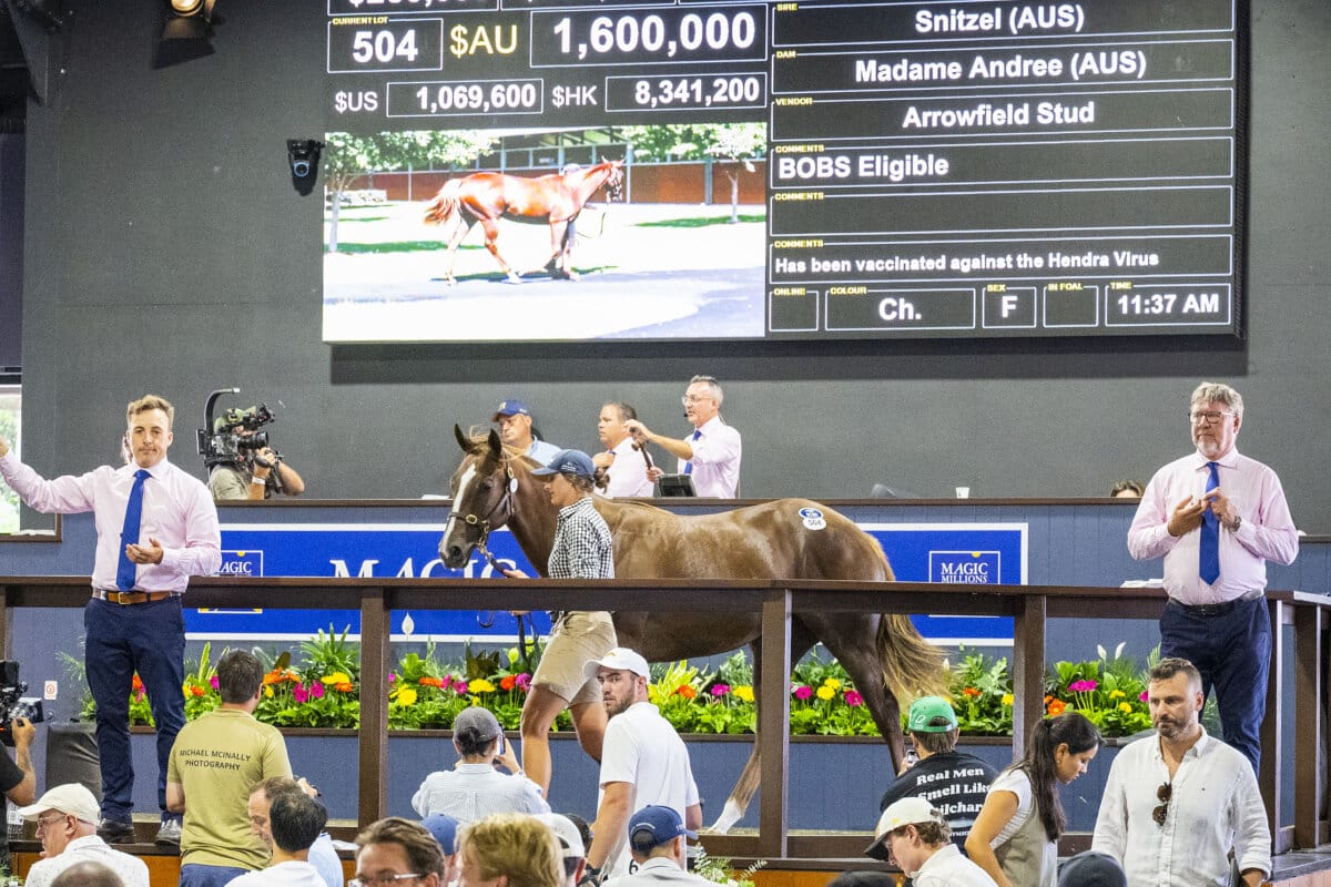 Blue Blooded Snitzel Filly Tops Day Three on Gold Coast