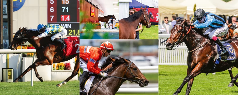 Opportunity Knocks – Adelaide to Deliver Again in 2026