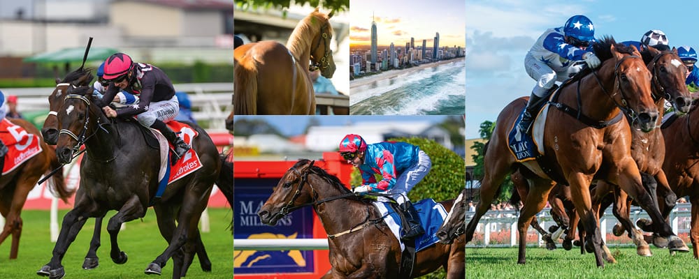 More Choice, More Opportunity at the New-Look March Sale