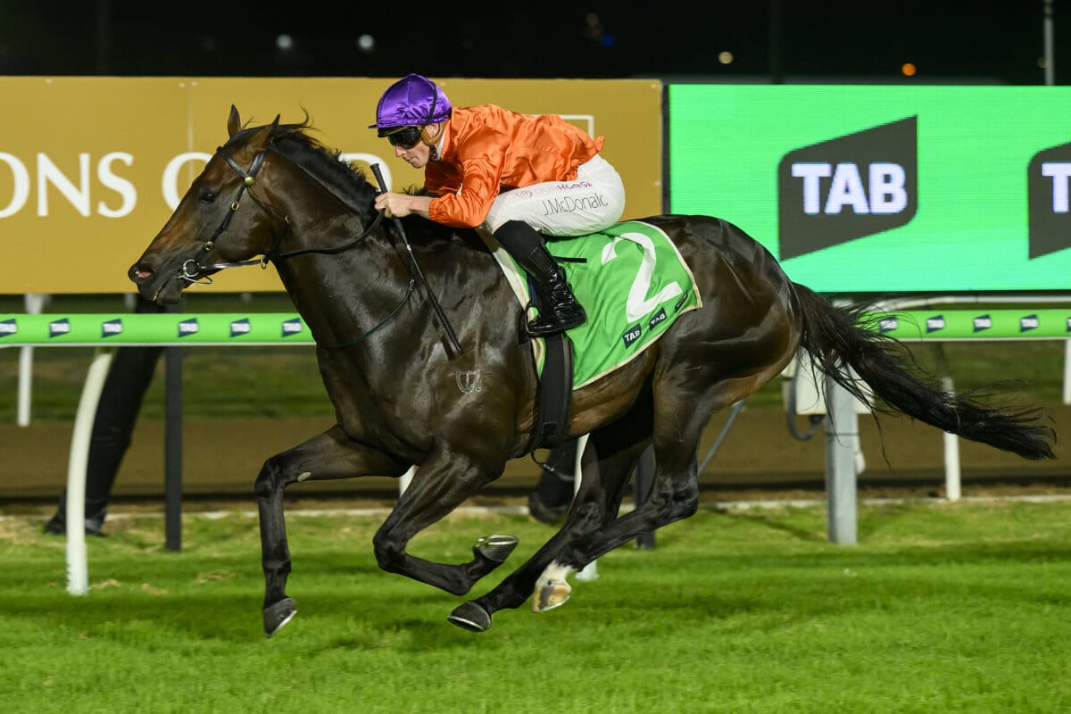 Group One Aims for Crack Queensland Colt Grafterburners Group One Aims for Crack Queensland Colt Grafterburners