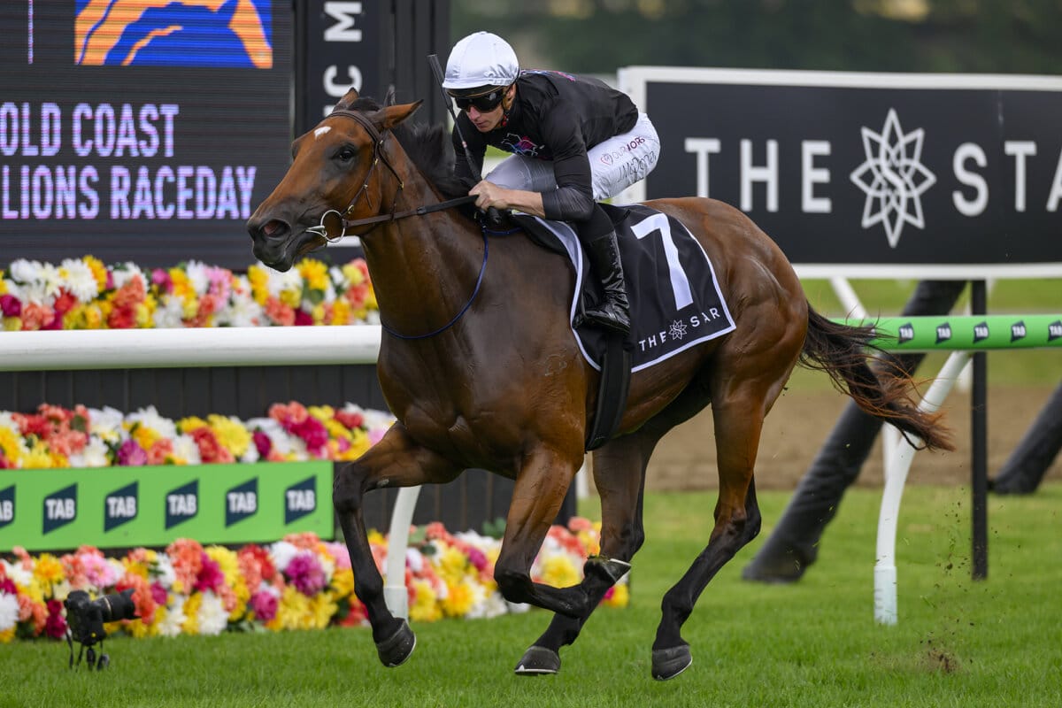 Local Speedster Toorak Jewel Sparkles on Debut