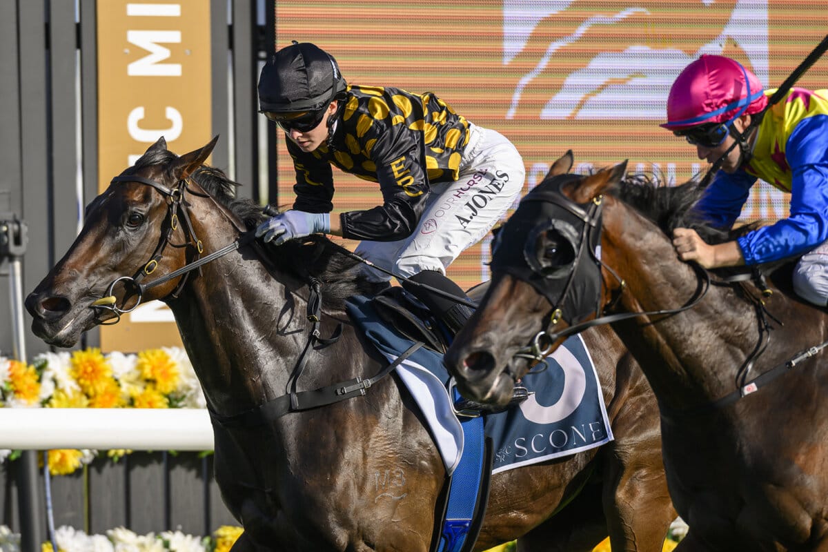 Post Comes in Time for Now is the Hour