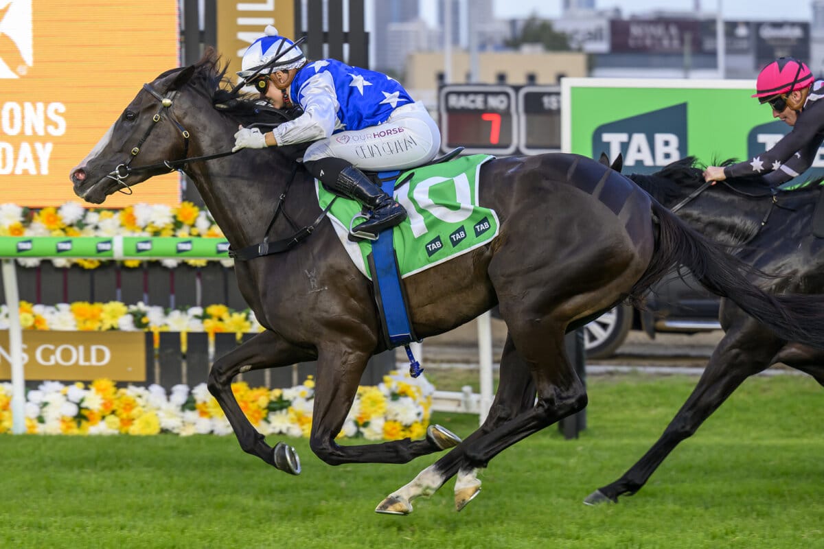 Miss Joelene Rides the Wave to Back to Back Features Miss Joelene Rides the Wave to Back to Back Features