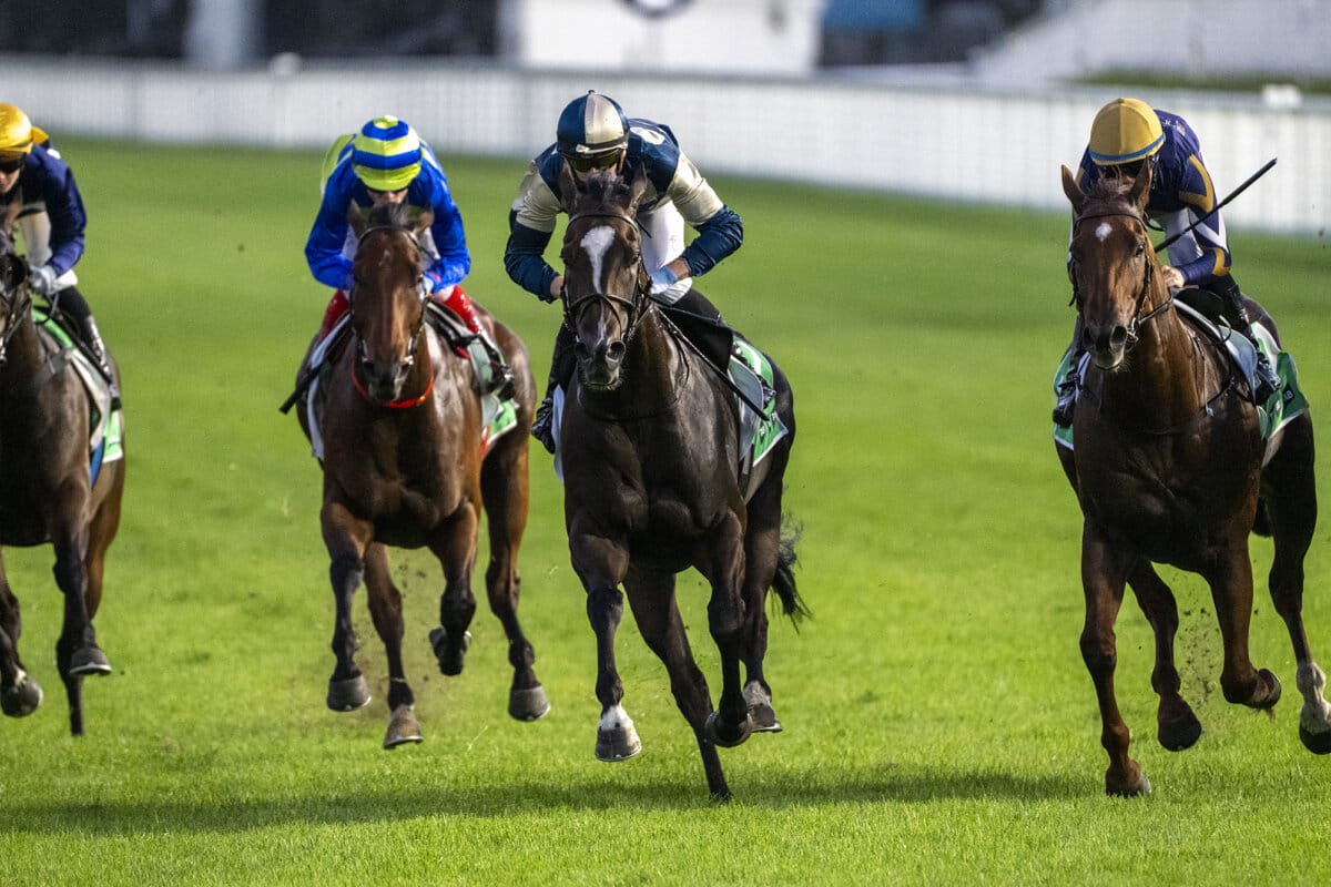 Spywire Scores Driving Syndicate Success on Coast