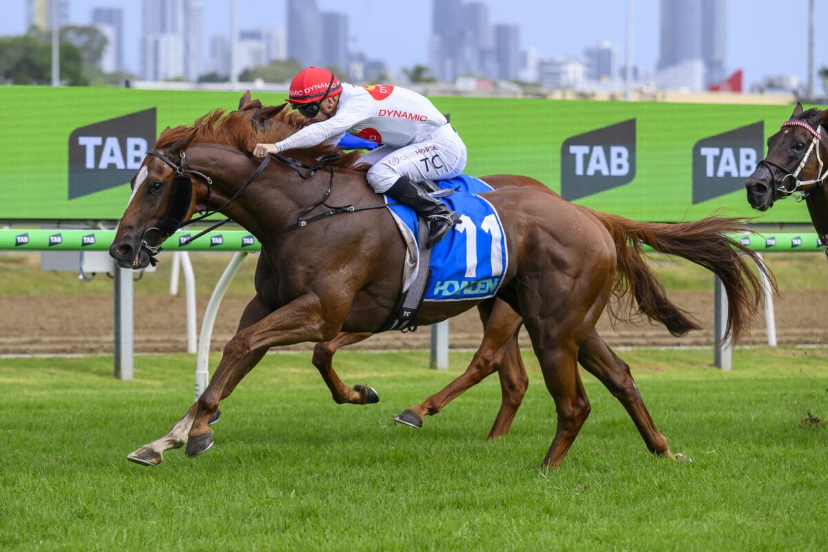 Axius Rattles Home for Dynamic Snippets Win