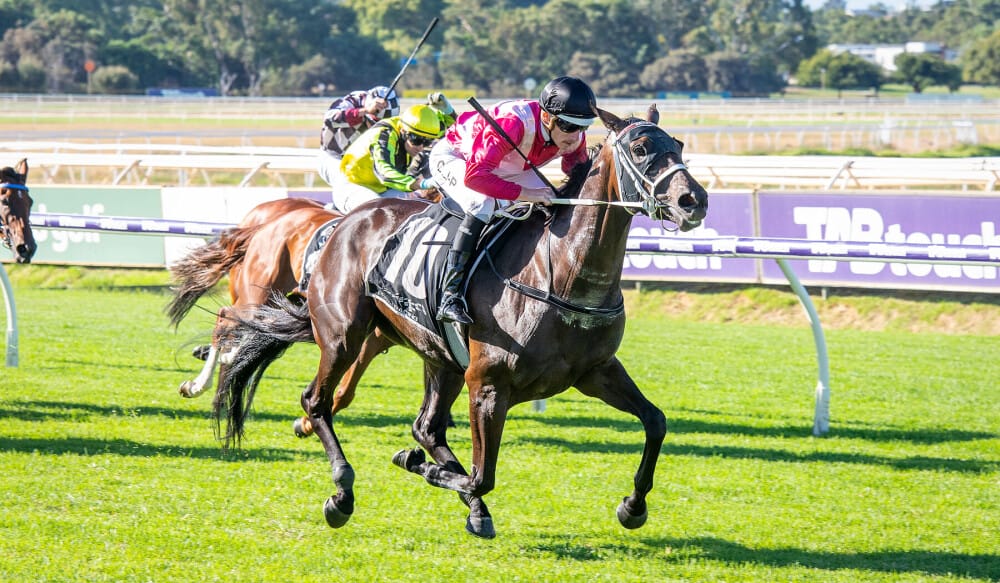 Twilight Tale Tops Successful Magic Millions Digital Sale