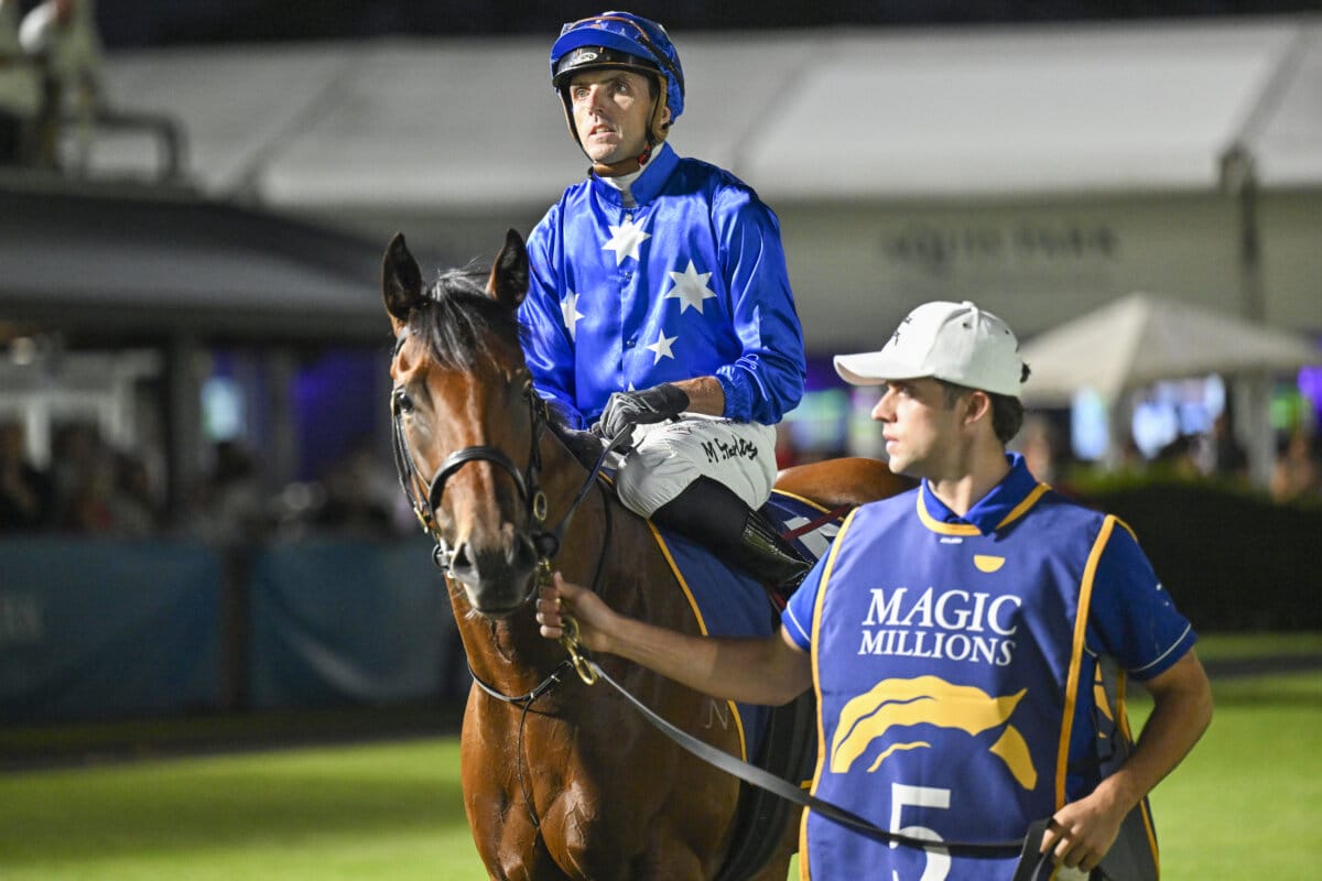 Share in Debut Runner-Up Popular on Magic Millions Digital Share in Debut Runner-Up Popular on Magic Millions Digital