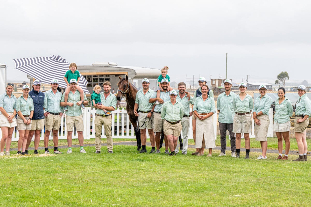 Pinatubo Filly Sets All Time Tasmanian Sale Record Pinatubo Filly Sets All Time Tasmanian Sale Record