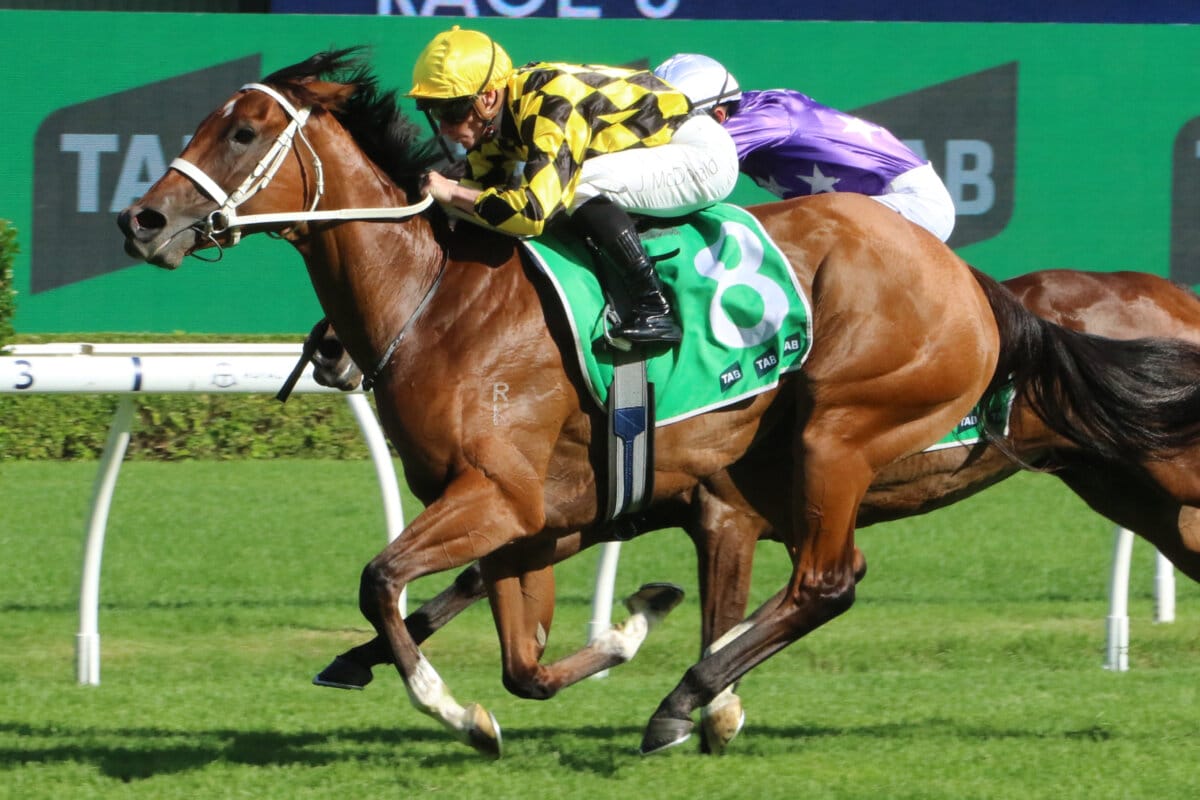 National Weanling Wonder Continues Unbeaten Glow