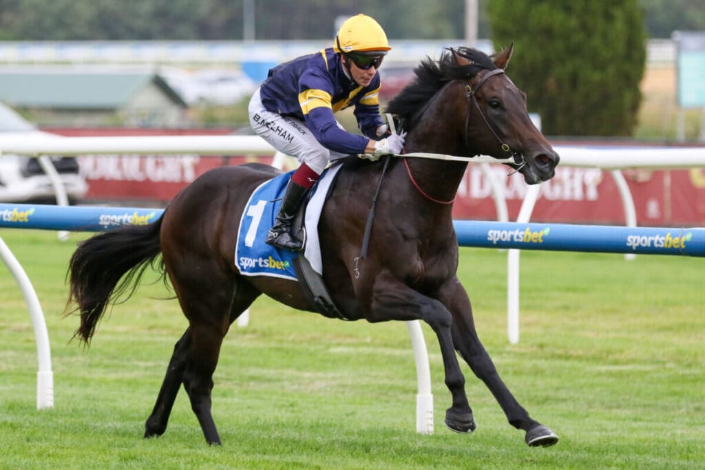 2026 | Magic Millions