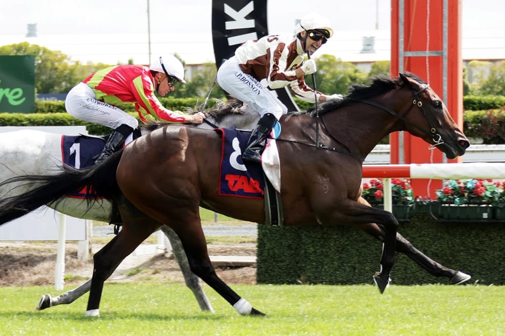 Superstar Legarto Confirmed for National Broodmare Sale