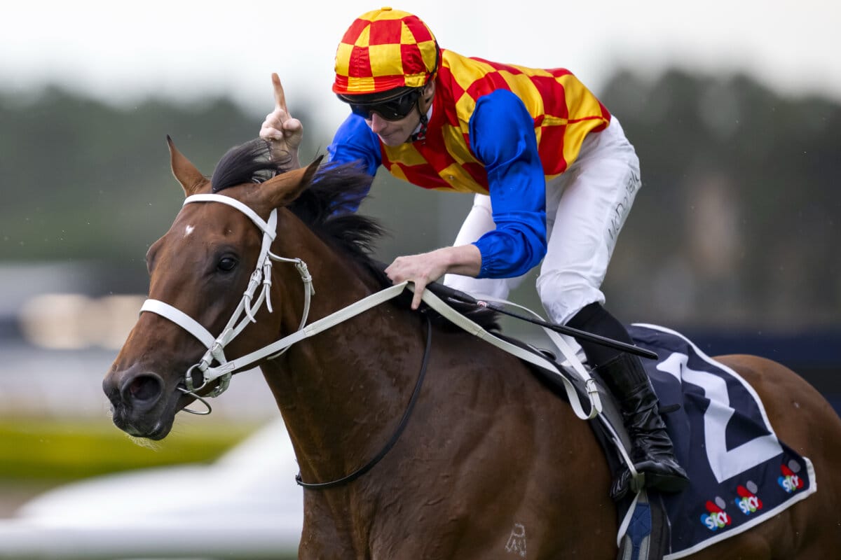 Autumn Boy Sweeps Second Group One Guineas Autumn Boy Sweeps Second Group One Guineas