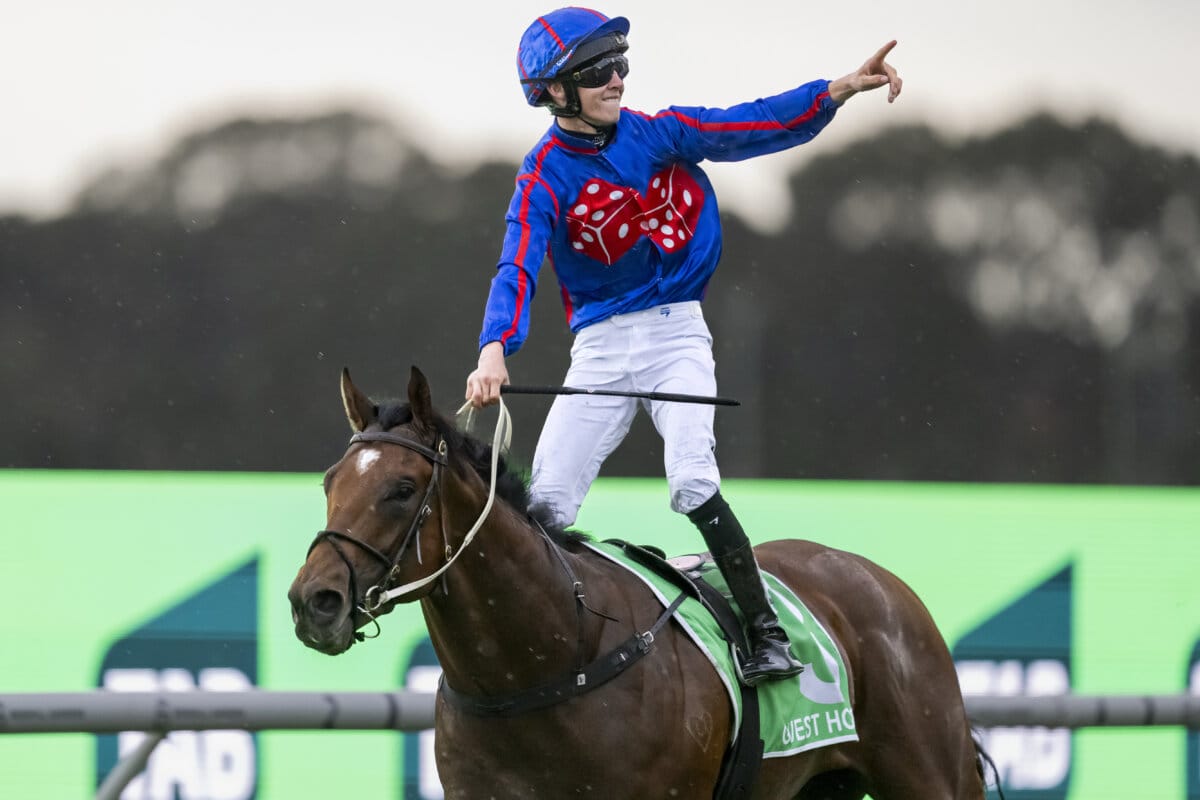 Pure Magic – Guest House Romps to Slipper Success Pure Magic – Guest House Romps to Slipper Success