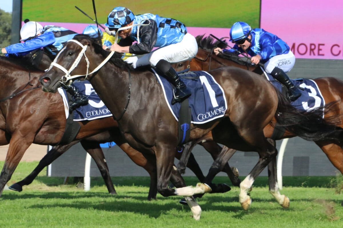 Lazzura’s Deserved Elite Success in Coolmore Classic Lazzura’s Deserved Elite Success in Coolmore Classic