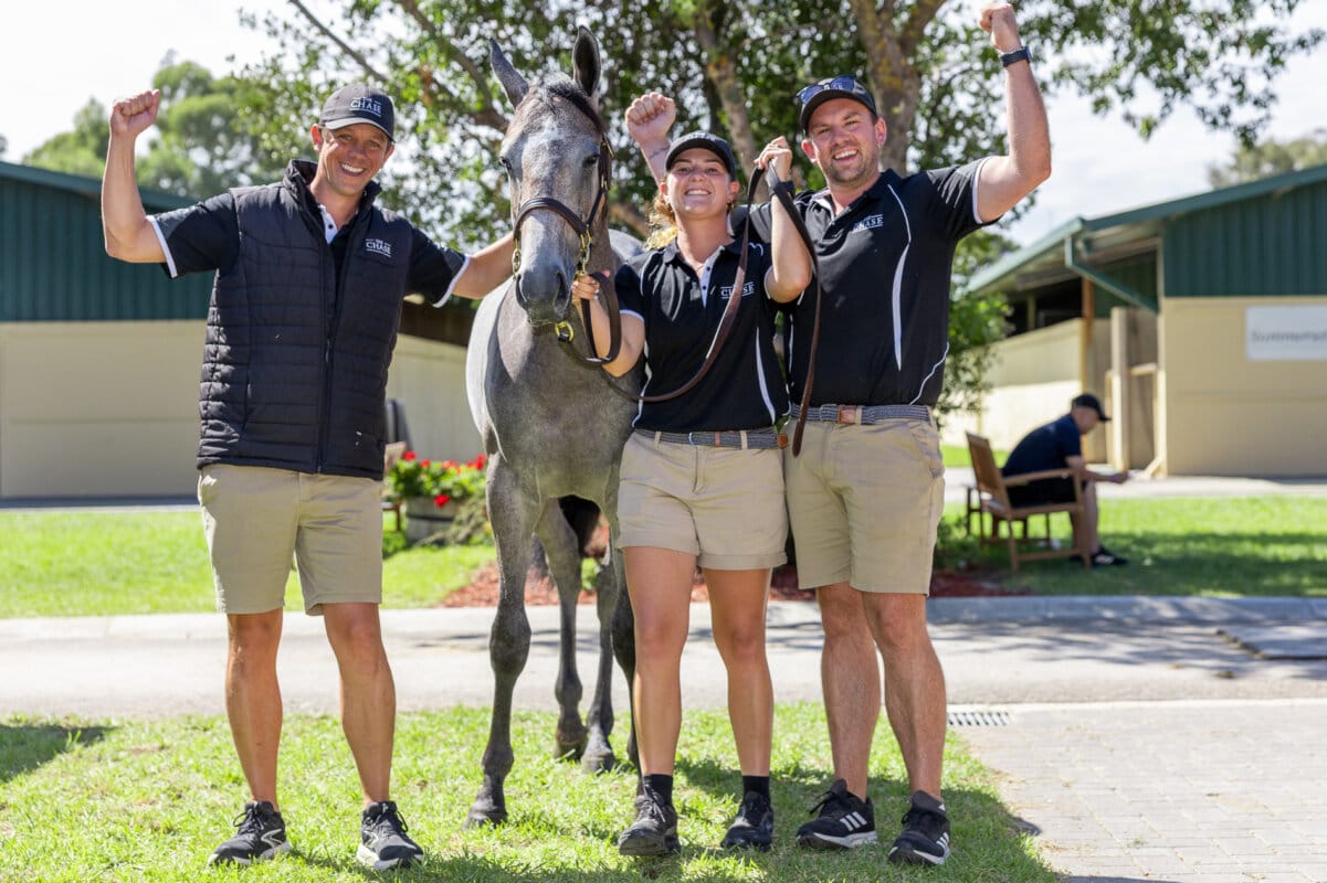 Zoustar Filly Tops Day One of Adelaide Yearling Sale