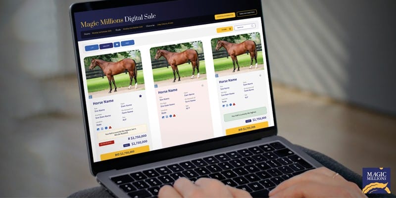 Bidding now open for Magic Millions Digital (27 March-1 April) Sale
