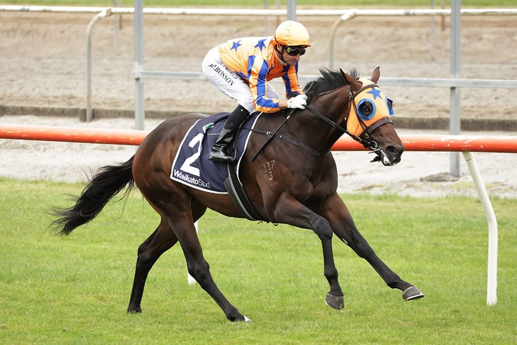 Tangerine Time – Seize The Day Another Juvenile G1 Star Tangerine Time – Seize The Day Another Juvenile G1 Star
