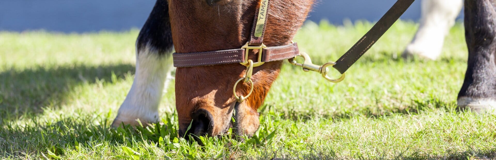 Magic Opportunities at National Sale Magic Opportunities at National Sale