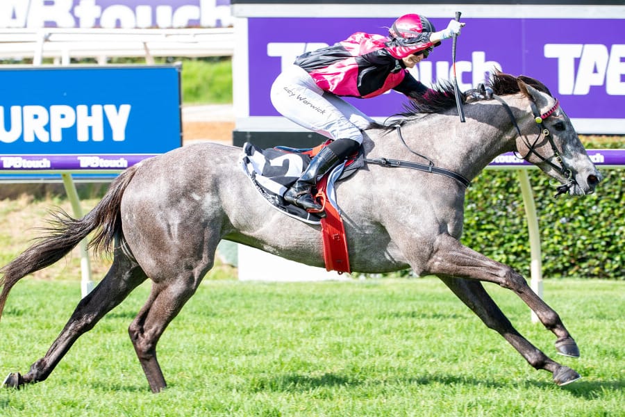 Group One Mare Highlights Latest MM Digital Sale – Bidding Open