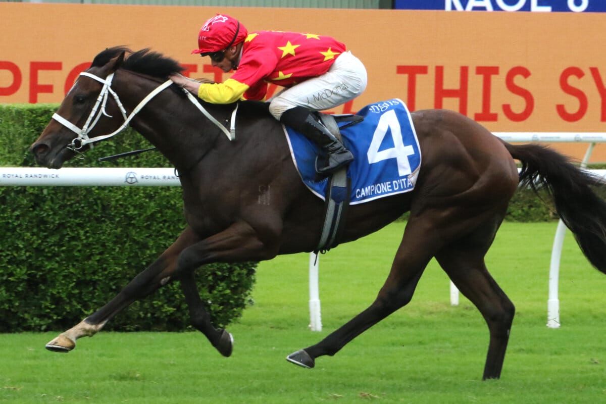 Crack Colt Campione d’Italia Sweeps Group One Sires