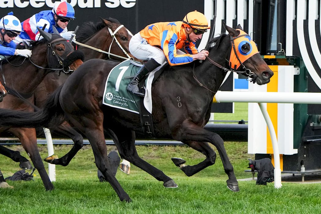 Te Akau’s Trio of Stars to Sparkle on Gold Coast Te Akau’s Trio of Stars to Sparkle on Gold Coast