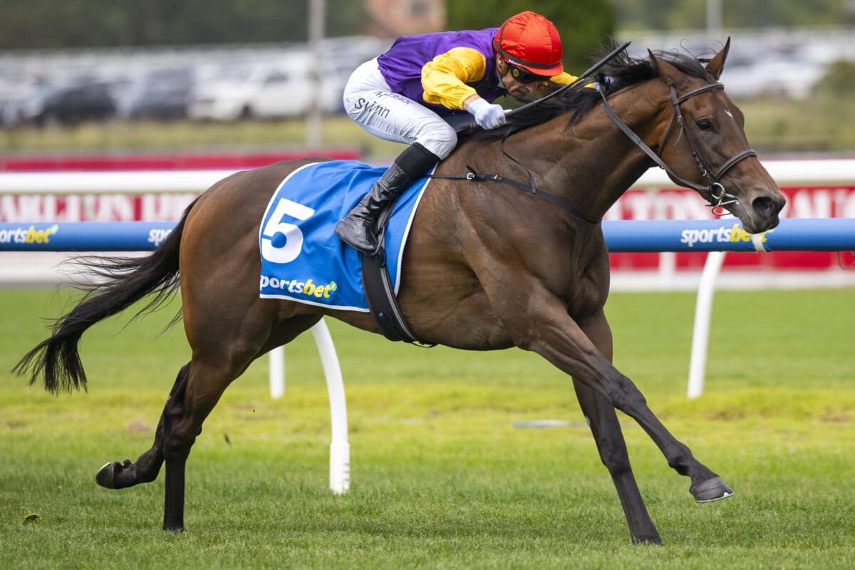 Sassy Boom’s Dam Tops Magic Millions Digital Sale