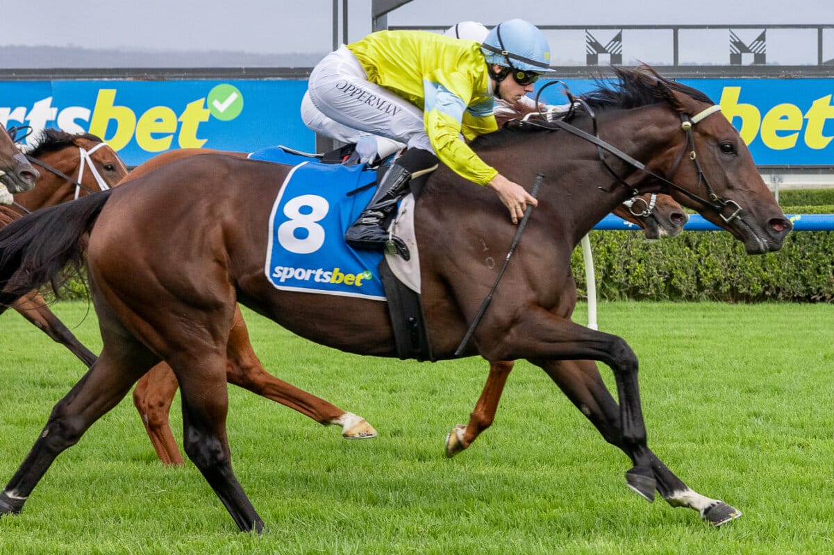 Perth Star Super Smink Leads Quality Vinery National Draft